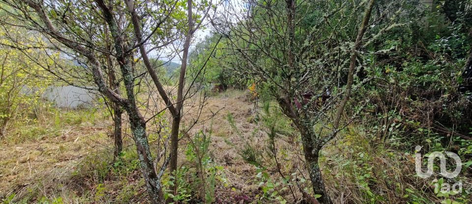 Terrain à Mafra de 12 247 m²