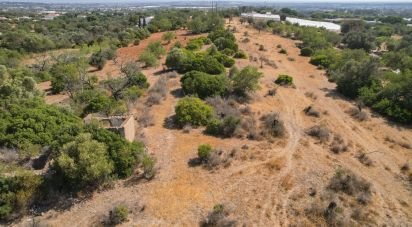 Terreno em Santa Bárbara de Nexe de 9 080 m²