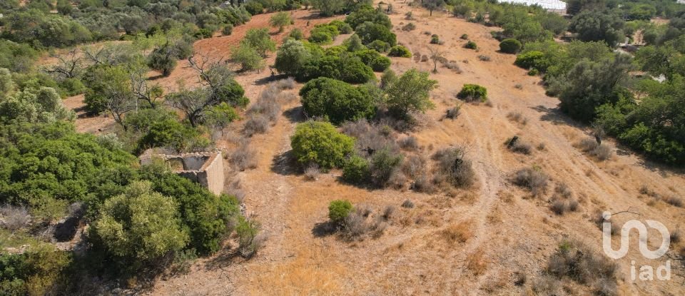 Terreno em Santa Bárbara de Nexe de 9 080 m²