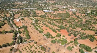 Terreno em Santa Bárbara de Nexe de 9 080 m²