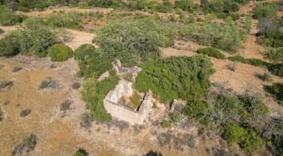 Terrain à Santa Bárbara de Nexe de 9 080 m²