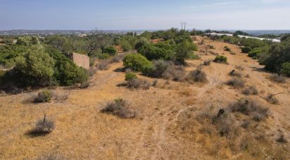 Land in Santa Bárbara de Nexe of 9,080 m²