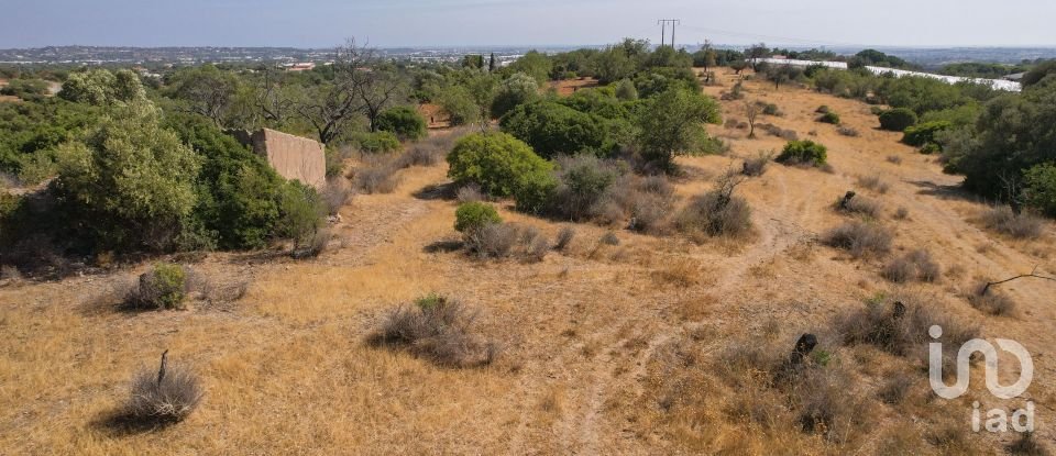 Terrain à Santa Bárbara de Nexe de 9 080 m²