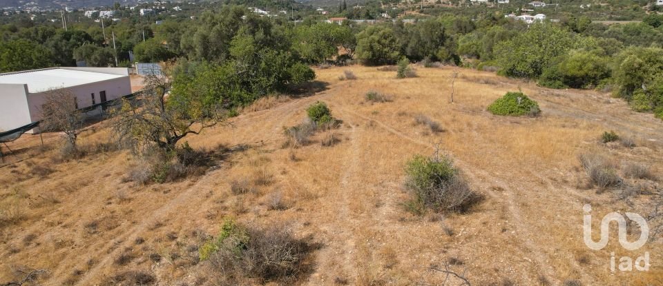 Terrain à Santa Bárbara de Nexe de 9 080 m²