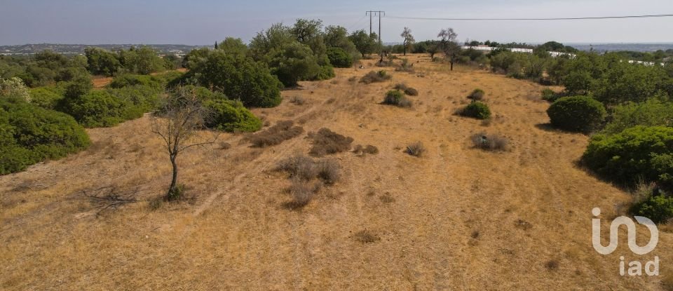 Terreno em Santa Bárbara de Nexe de 9 080 m²