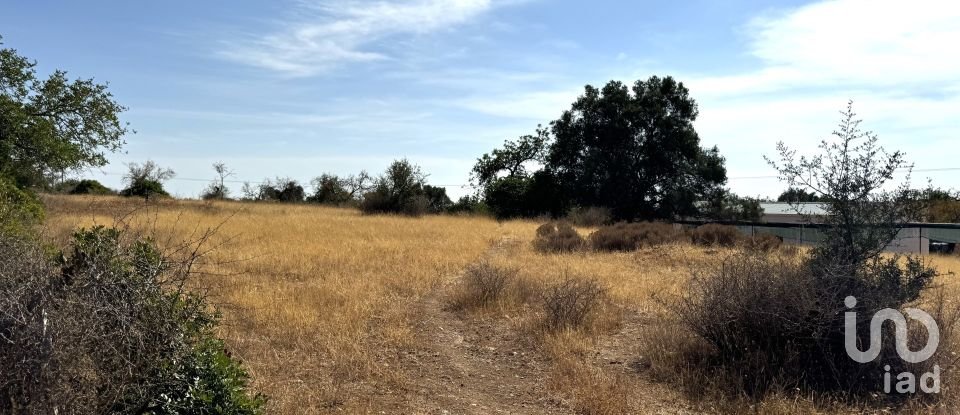 Terrain à Santa Bárbara de Nexe de 9 080 m²