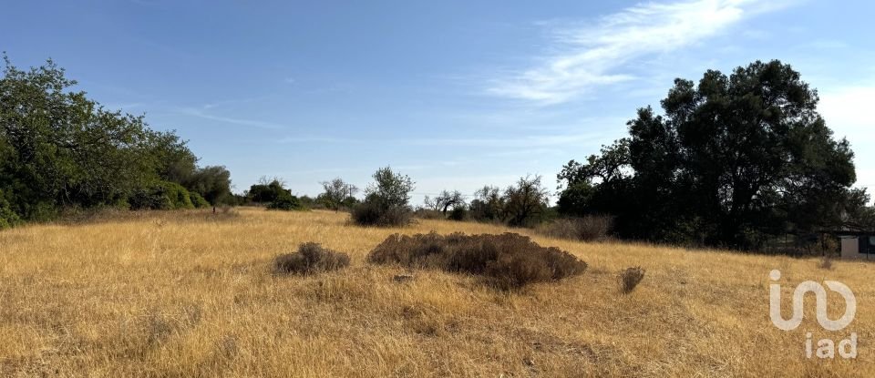 Terrain à Santa Bárbara de Nexe de 9 080 m²