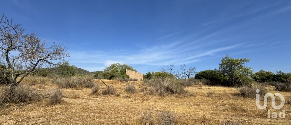 Terrain à Santa Bárbara de Nexe de 9 080 m²