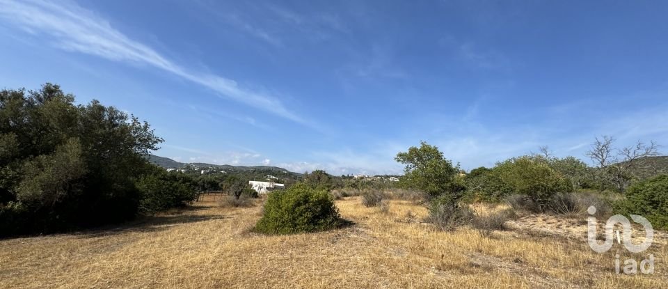 Terrain à Santa Bárbara de Nexe de 9 080 m²