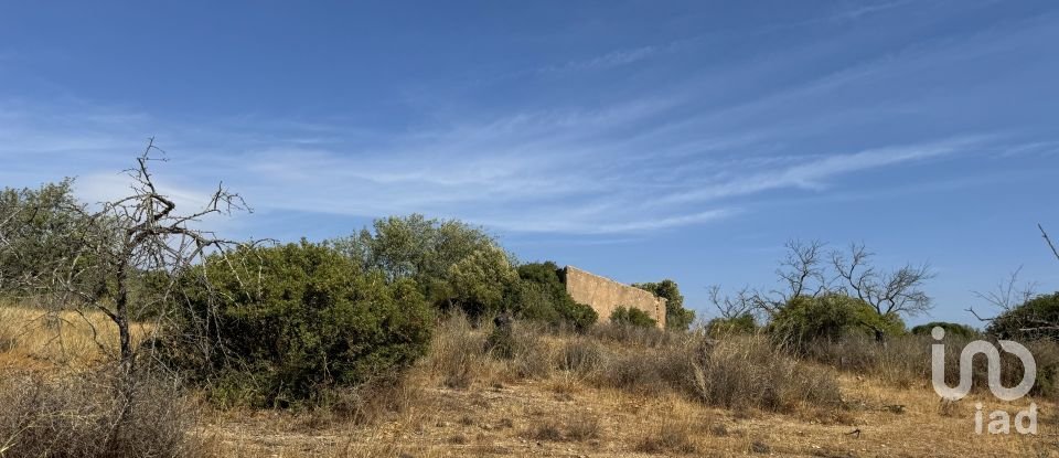 Terrain à Santa Bárbara de Nexe de 9 080 m²