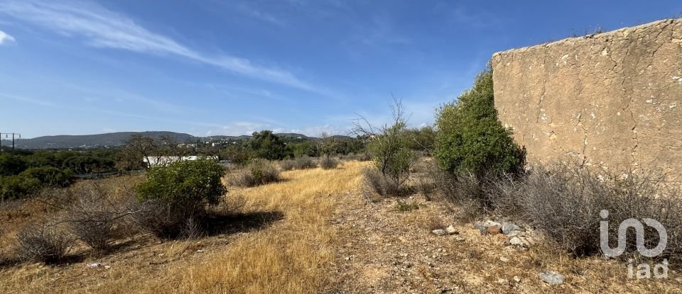 Terrain à Santa Bárbara de Nexe de 9 080 m²