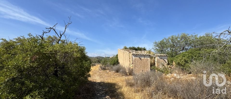 Terrain à Santa Bárbara de Nexe de 9 080 m²