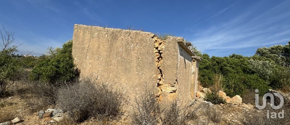 Terrain à Santa Bárbara de Nexe de 9 080 m²