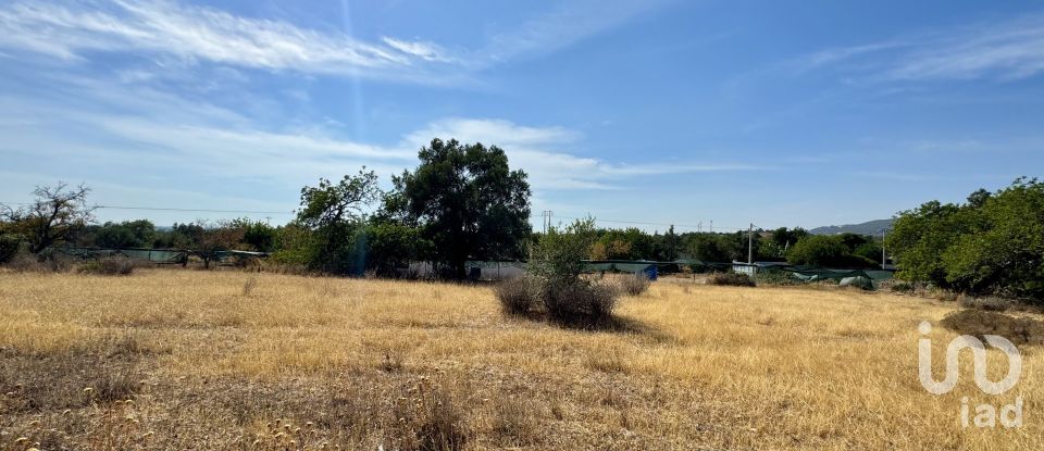 Terrain à Santa Bárbara de Nexe de 9 080 m²