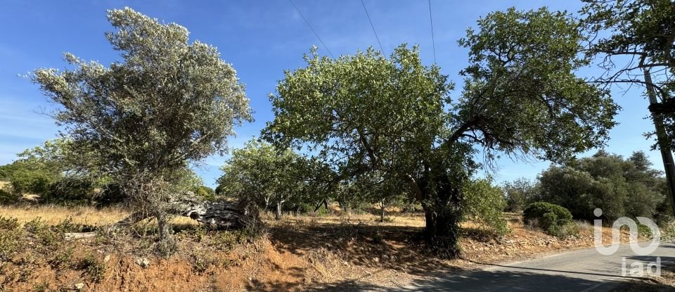 Terrain à Santa Bárbara de Nexe de 9 080 m²