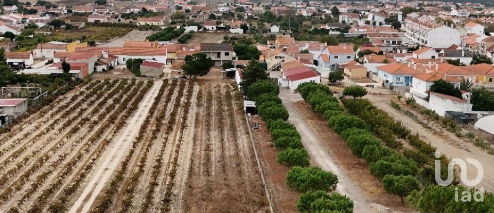 Casa / Villa T0 em Fazendas de Almeirim de 224 m²