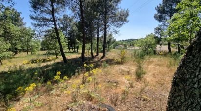 Building land in Guarda of 4,572 m²