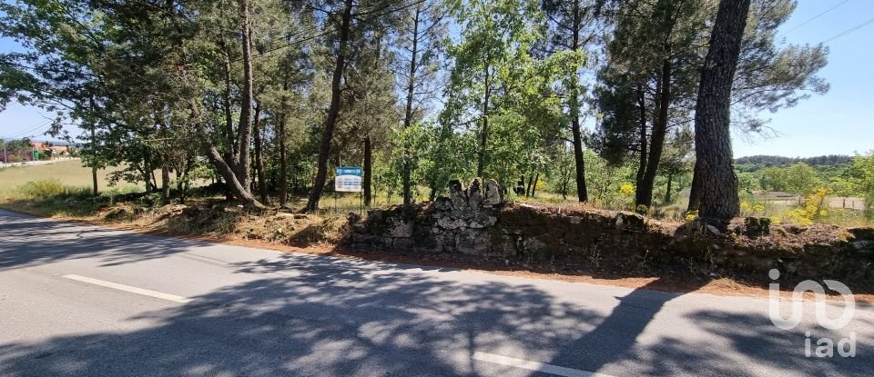 Building land in Guarda of 4,572 m²