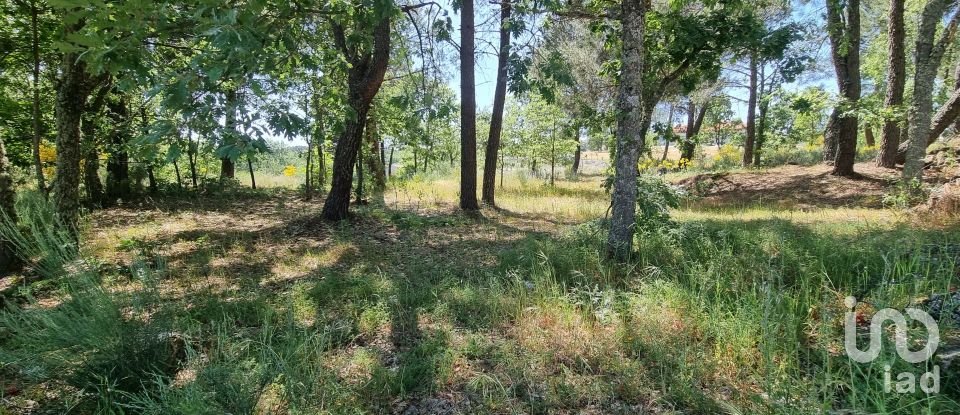 Building land in Guarda of 4,572 m²