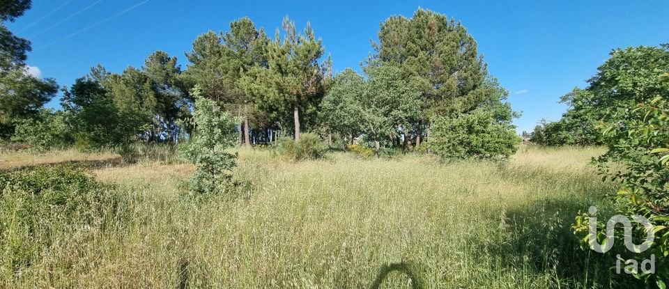 Building land in Guarda of 4,572 m²