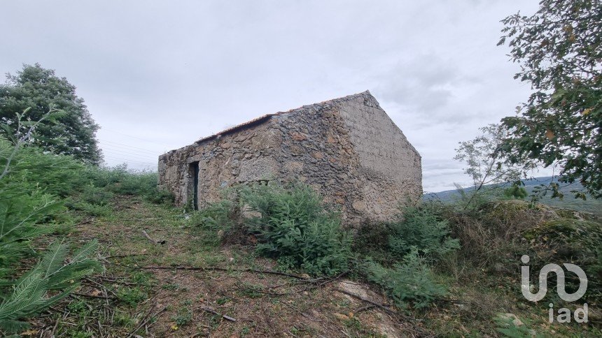 Terreno Agrícola em Mesquitela de 86 590 m²