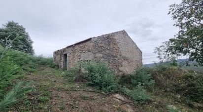 Terreno Agrícola em Mesquitela de 86 590 m²