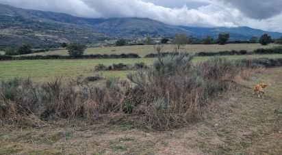 Terreno Agrícola em Mesquitela de 86 590 m²