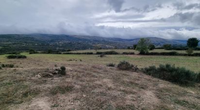 Terreno Agrícola em Mesquitela de 86 590 m²