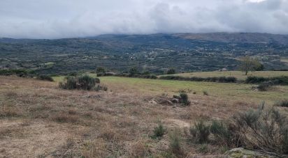 Agricultural land in Mesquitela of 86,590 m²