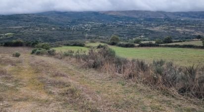 Terrain agricole à Mesquitela de 86 590 m²