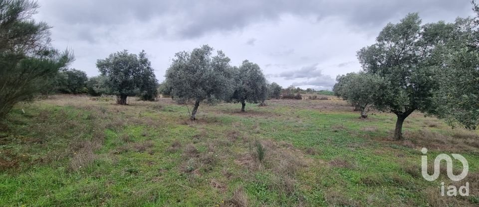 Agricultural land in Mesquitela of 86,590 m²