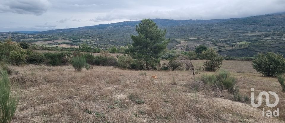 Terrain agricole à Mesquitela de 86 590 m²