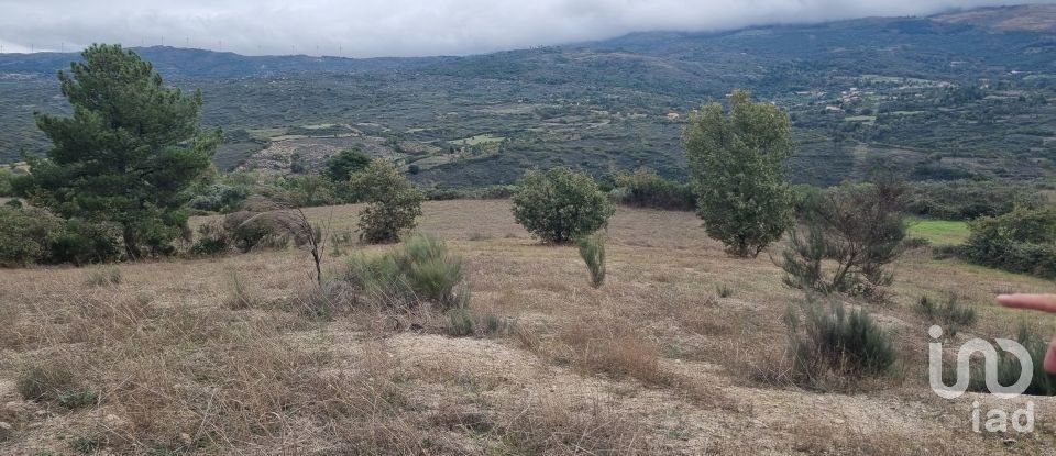 Terreno Agrícola em Mesquitela de 86 590 m²