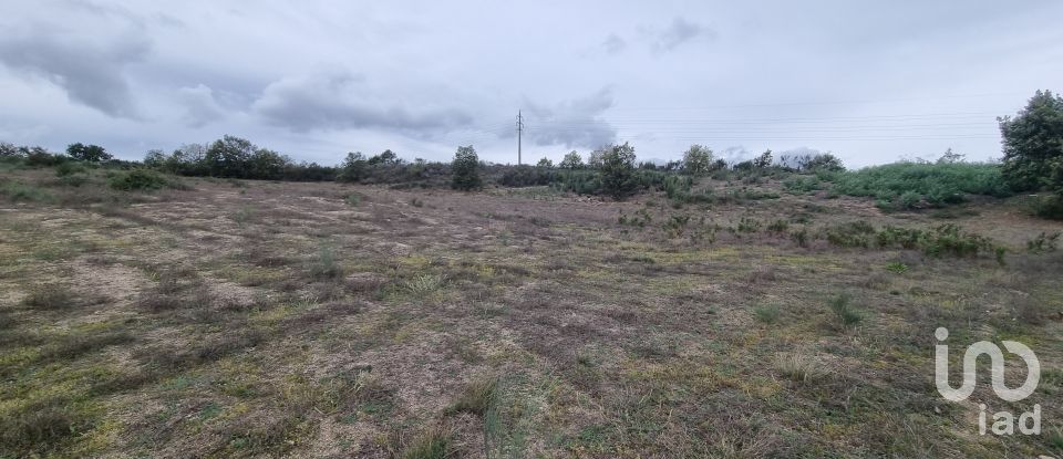 Terreno Agrícola em Mesquitela de 86 590 m²