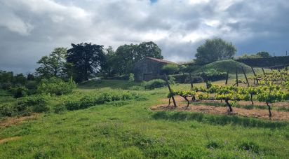 Quinta T0 em Figueiró da Serra e Freixo da Serra de 53 919 m²