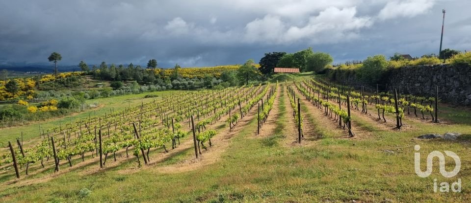 Quinta T0 em Figueiró da Serra e Freixo da Serra de 53 919 m²