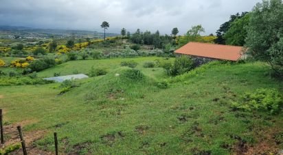 Quinta T0 em Figueiró da Serra e Freixo da Serra de 53 919 m²