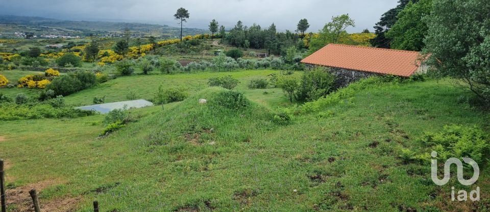 Ferme T0 à Figueiró da Serra e Freixo da Serra de 53 919 m²