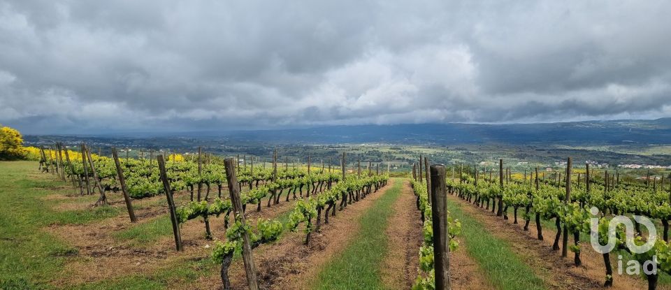 Quinta T0 em Figueiró da Serra e Freixo da Serra de 53 919 m²