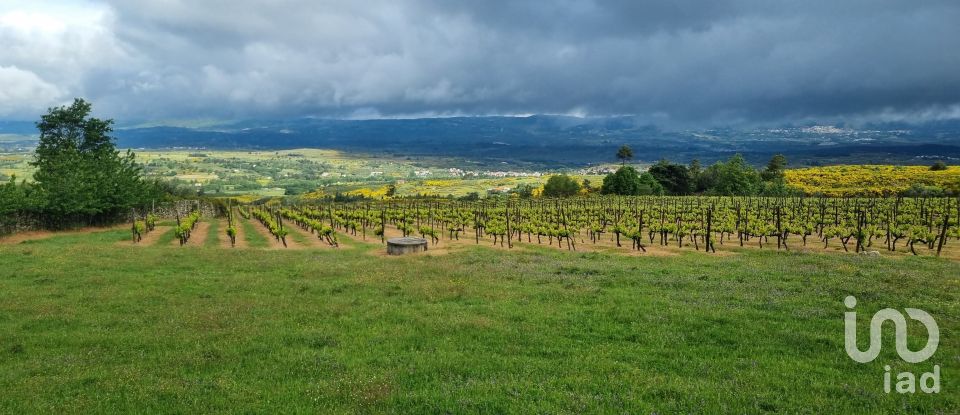 Quinta T0 em Figueiró da Serra e Freixo da Serra de 53 919 m²