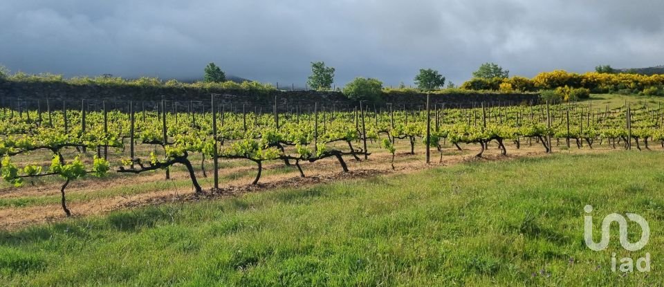 Ferme T0 à Figueiró da Serra e Freixo da Serra de 53 919 m²