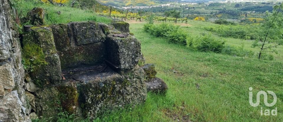 Quinta T0 em Figueiró da Serra e Freixo da Serra de 53 919 m²