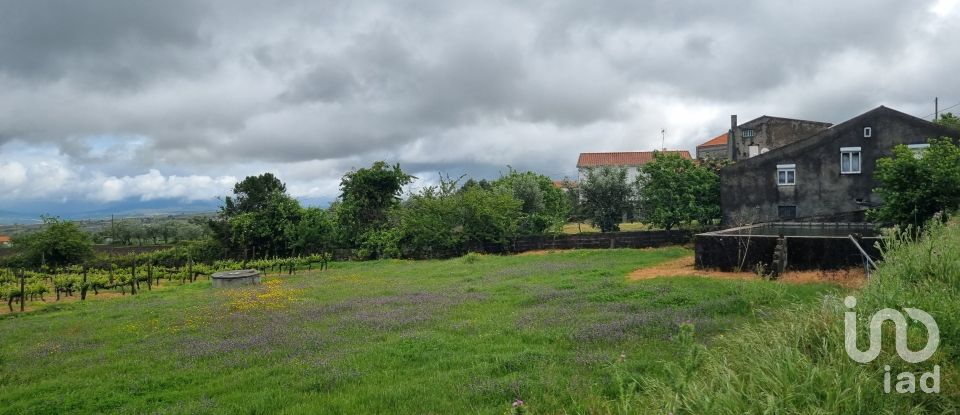 Ferme T0 à Figueiró da Serra e Freixo da Serra de 53 919 m²