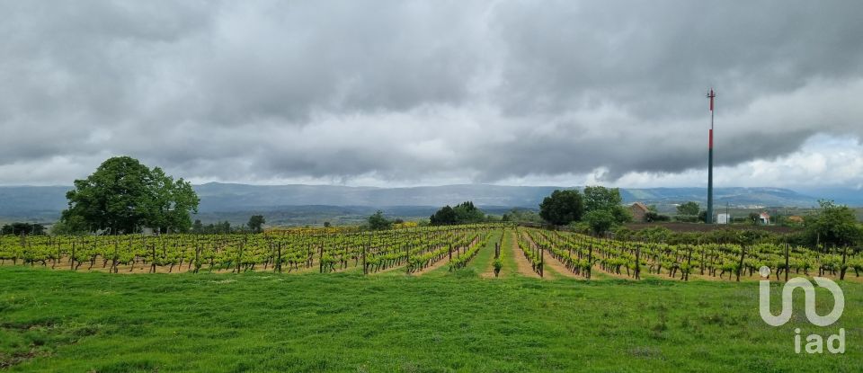 Quinta T0 em Figueiró da Serra e Freixo da Serra de 53 919 m²