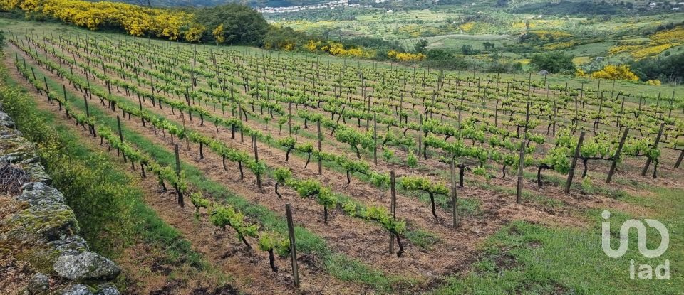 Ferme T0 à Figueiró da Serra e Freixo da Serra de 53 919 m²