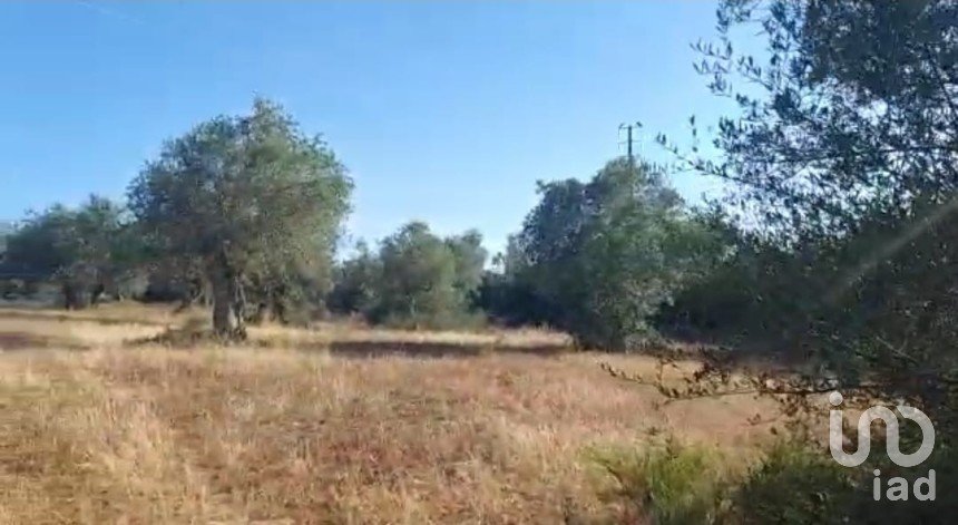 Terreno para construção em Alcácer do Sal (Santa Maria do Castelo e Santiago) e Santa Susana de 14 750 m²