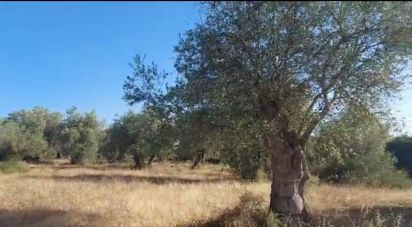 Building land in Alcácer do Sal (Santa Maria do Castelo e Santiago) e Santa Susana of 14,750 m²