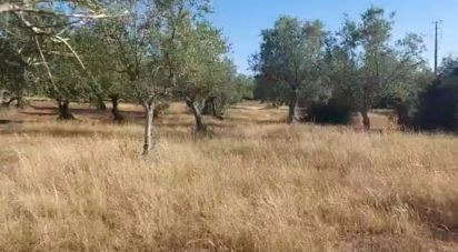 Building land in Alcácer do Sal (Santa Maria do Castelo e Santiago) e Santa Susana of 14,750 m²