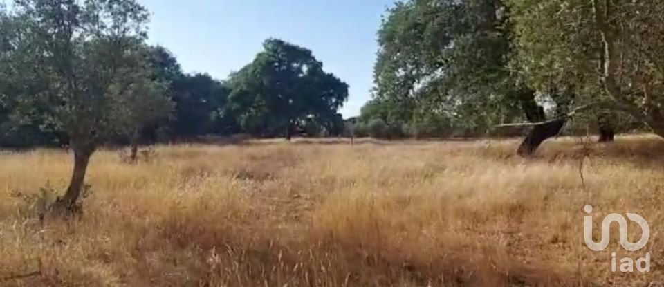 Terreno para construção em Alcácer do Sal (Santa Maria do Castelo e Santiago) e Santa Susana de 14 750 m²