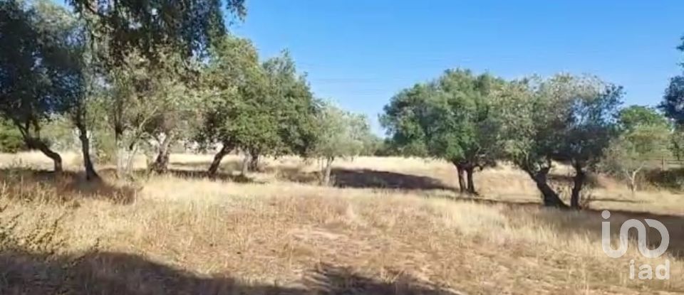 Terreno para construção em Alcácer do Sal (Santa Maria do Castelo e Santiago) e Santa Susana de 14 750 m²